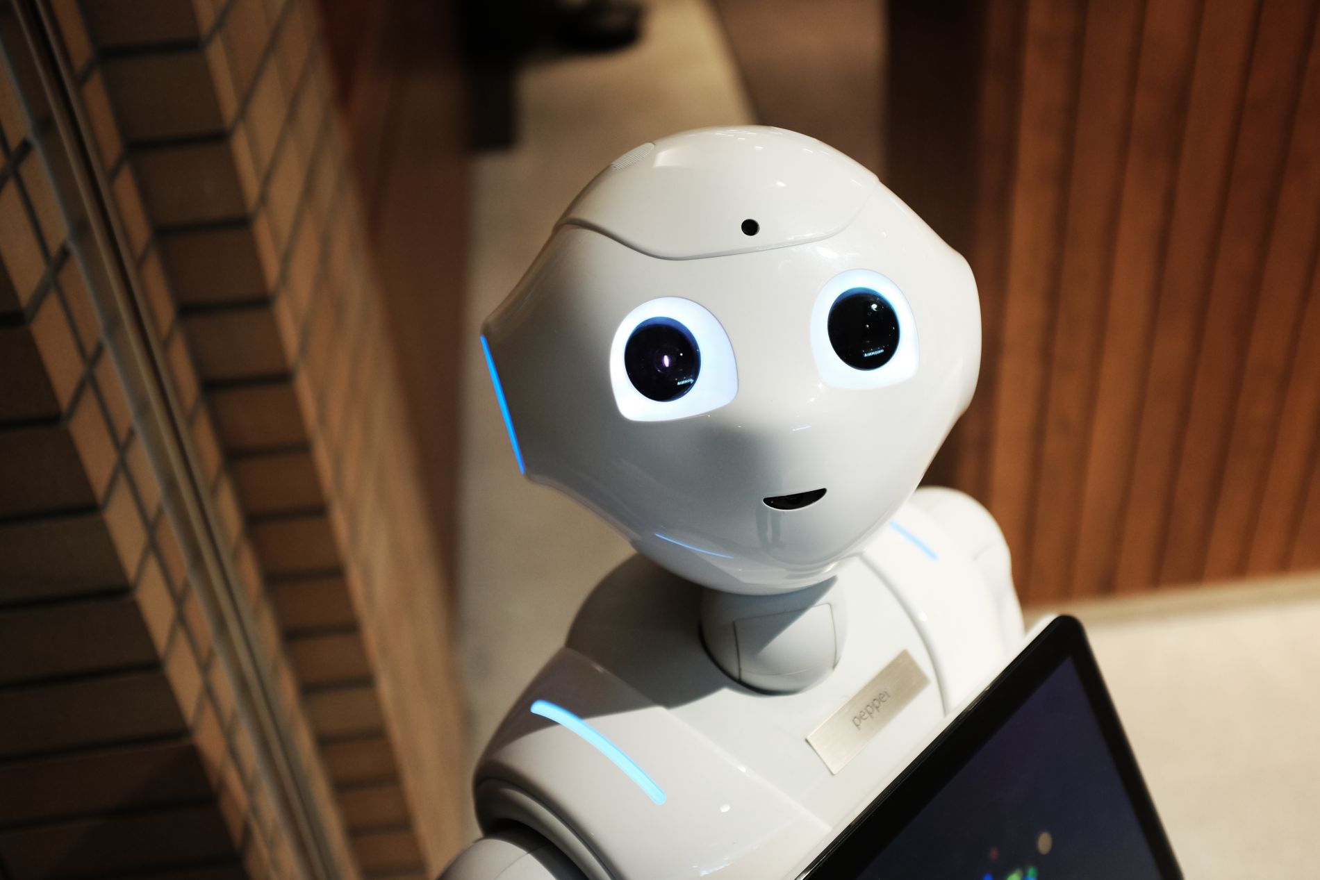 A creepy white robot called Pepper looks directly at the camera