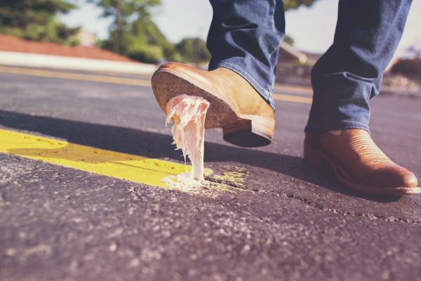 Image for Digg Worth only $500 000 – Why Did it Fail?