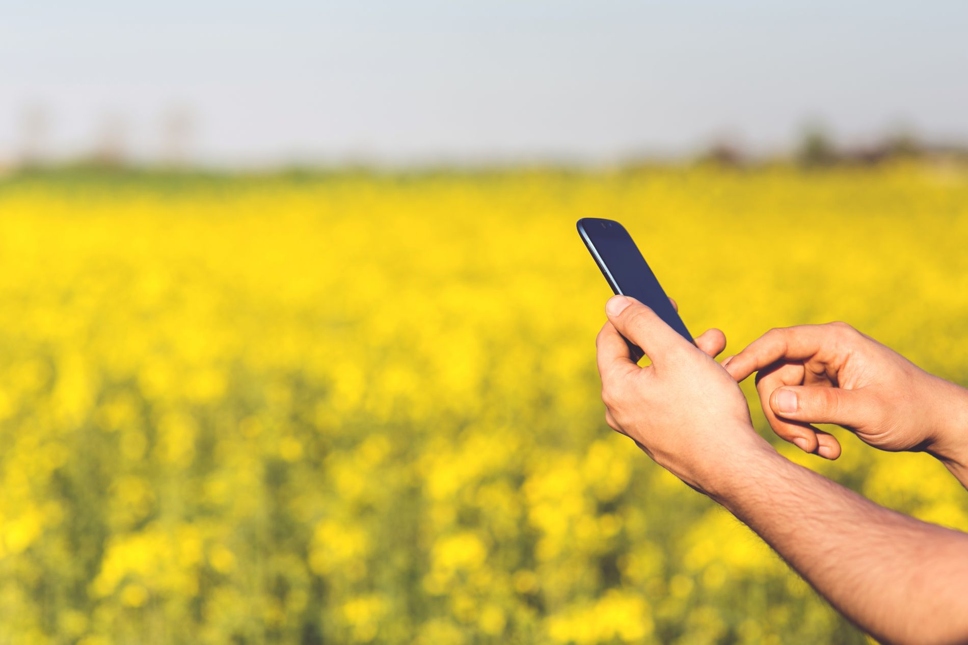 Man on Smartphone