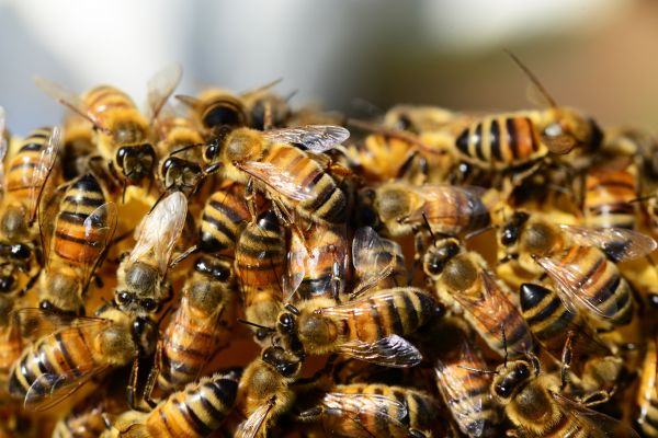 Image for The Buzz around Flat Website Designs