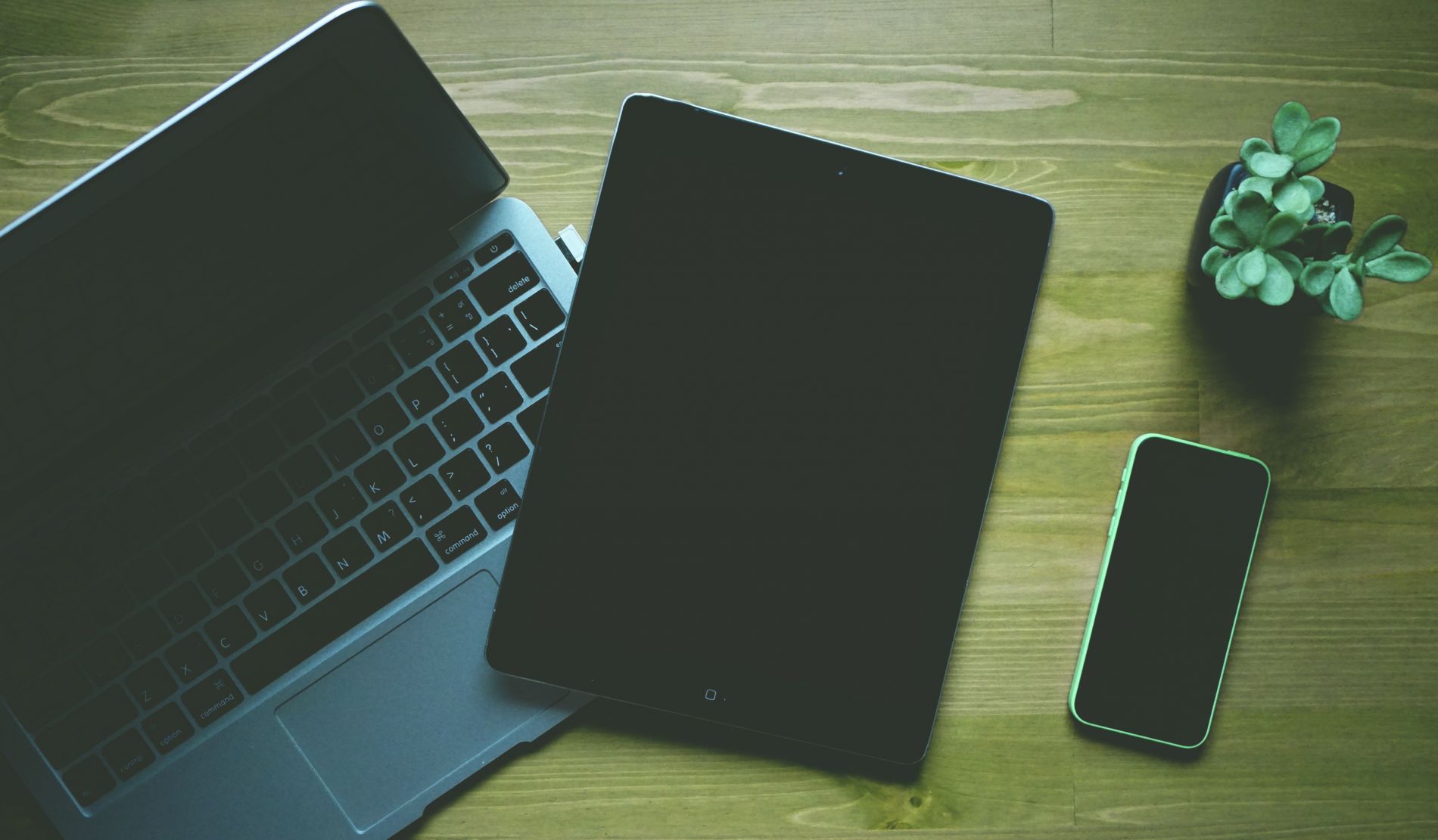 An Apple Macbook, Apple iPad 2 and Apple iPhone 5c sit flat next to each other on a desk surface, accompanied by a succulent 