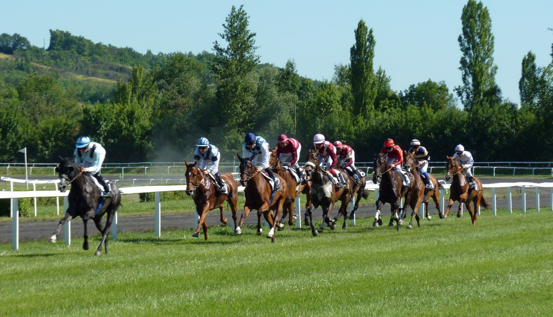 William Hill Banner