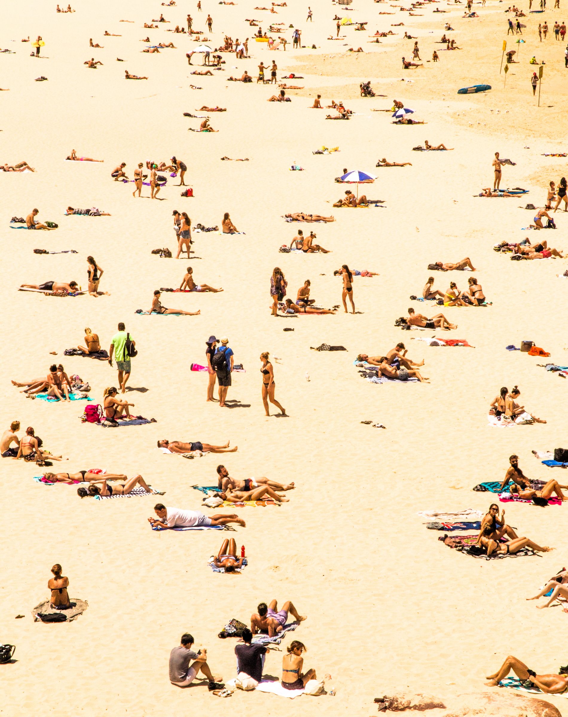 Bondi Beach by Mike Wilson