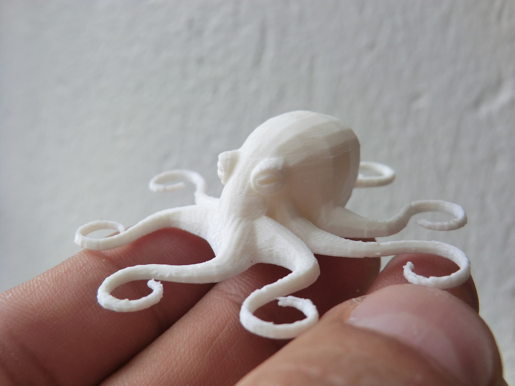 printed_octopus