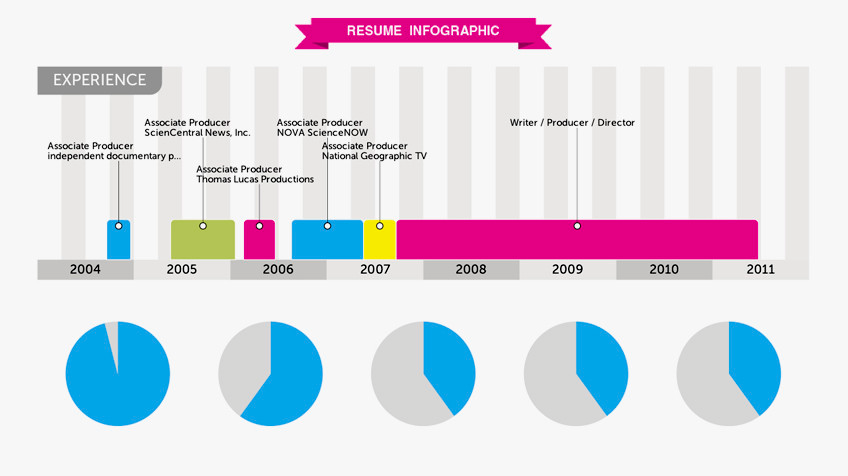 Resume infographic