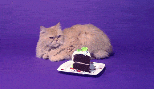 Image for 30 years later – Facebook fully supports GIFs