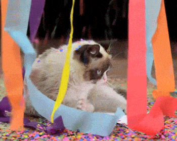Grumpy Cat Birthday