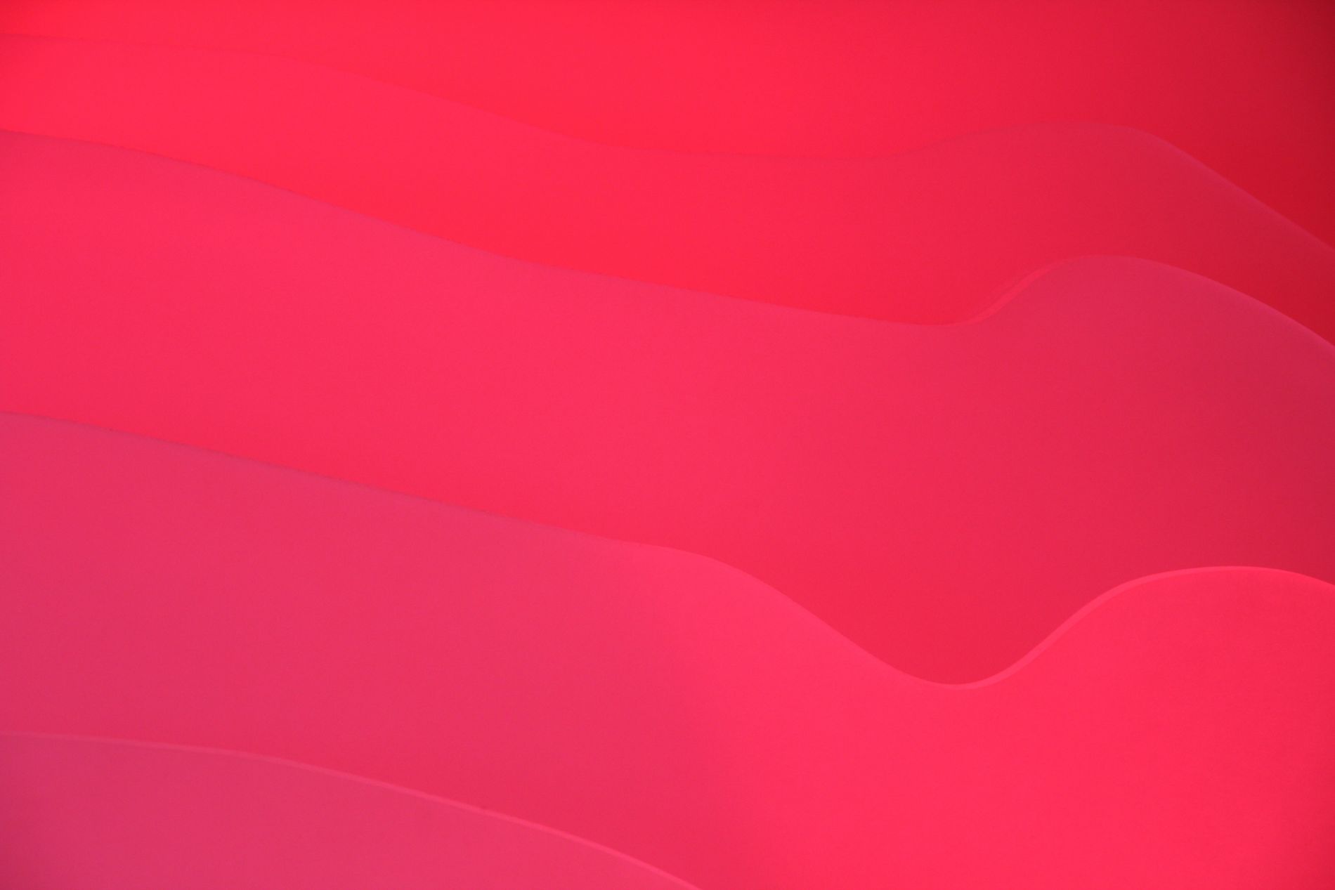 Why did the Labour Party’s website crash this weekend?